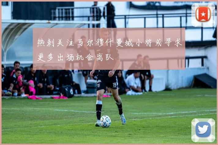 热刺关注马尔穆什曼城小将或寻求更多出场机会离队